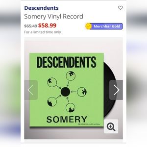 Decendents "Somery" vinyl record